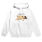 ANAN＠猫ひろしの人🥚🥚のやる気だせよ Hoodie