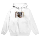 SAKURA スタイルのぼーとしている　コアラ　 Hoodie