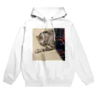 飼い猫のいろは 寝 Hoodie