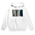 たっちゃん photoの猫街 Hoodie