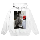 Aiko Nakanoの炊飯器は暖かいね Hoodie