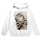 焼きマンゴスチンの見下ろし猫ウェア Hoodie