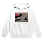 猛毒おひたしの超能力で車持ち上げねこ Hoodie