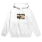 ヨシオカケイタのぱか Hoodie