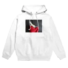 Arteのハープに登頂するねこ Hoodie