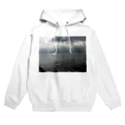 MSDの海 Hoodie