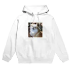 ꧁꧂のウインク犬 Hoodie