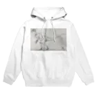 Alectroのテラトスミルス・ミラビリス Hoodie