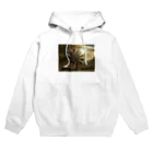 パルナスロデムのキンキラにさりげなく Hoodie