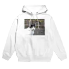 ぺてぃもーずのおみせのネコ Hoodie