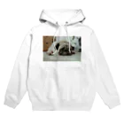 Life with あにまる🐨✨のおねむなパグくん Hoodie