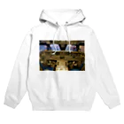 AAAstarsのスペースシャトル　コクピット Hoodie