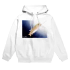 えぬログのお魚屋さんのつられたやまめ Hoodie