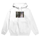 うずね四季の白露の駅 Hoodie