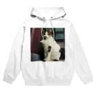 電気羊研究所science&GAMEのチラッと猫 Hoodie