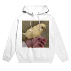 landscapeのみーすけちゃん Hoodie