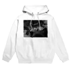 ぴこんちゃんのエモ汚部屋 Hoodie