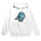 Cody the LovebirdのChubby Bird マメルリハ Hoodie