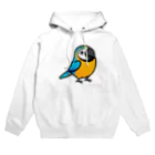 Cody the LovebirdのChubby Bird ルリコンゴウインコ Hoodie