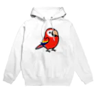 Cody the LovebirdのChubby Bird アカコンゴウインコ Hoodie