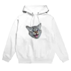 ねこひげだらけのキジしろくん Hoodie