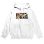 nyanta2020のはむはむはああぁぁーーー！！！ Hoodie