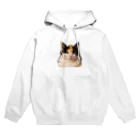 コンドーショップのシャトーブリアン猫 Hoodie