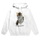 NKVのmomochan_variation Hoodie