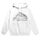 無名昆虫のコガタカメノコハムシ（黒） Hoodie