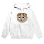 きなこ企画の愛猫きなこのオリジナルグッズ Hoodie