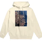 空屋　sorayakusakaの202105120801001　遅咲きの桜 Hoodie