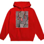 空屋　sorayakusakaの202008231724000　紅葉 Hoodie