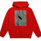 空屋　sorayakusakaの200806251903000　先を急ぐケム氏 Hoodie