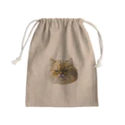 ふみおさんのふてくされペルシャ Mini Drawstring Bag