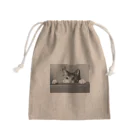 ほぼひめ。の三毛猫のひめ　5 Mini Drawstring Bag