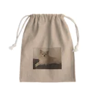 Pomeraniansのスンとするポワル Mini Drawstring Bag