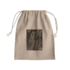 空屋　sorayakusakaの202001121944000　夜の樹木 Mini Drawstring Bag