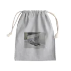 保護猫ファミリーの獅鳳コレクション Mini Drawstring Bag