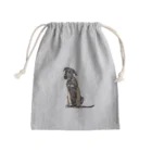 【CPPAS】Custom Pet Portrait Art Studioのクールなアイリッシュウルフハウンドドッグ Mini Drawstring Bag