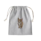 Zonelandの面白い猫、ケティ、猫の家 Mini Drawstring Bag