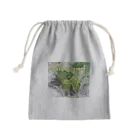 DAYS OF INSECTのナミアゲハの幼虫飼育！② Mini Drawstring Bag