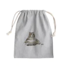 onarisanちのにゃんこたちのおすわりこむにゃんこ Mini Drawstring Bag