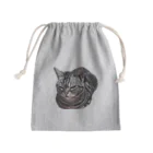 アメショーのひめちゃんのアメショーのひめちゃん② Mini Drawstring Bag