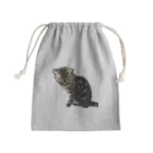 アメショーのひめちゃんのアメショーのひめちゃん⑦ Mini Drawstring Bag