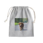 waka0129の茶色の犬 Mini Drawstring Bag