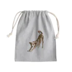 PENPENGUSAののびするなずな Mini Drawstring Bag