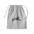 mayura_photoの若いオスライオン Mini Drawstring Bag