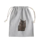 猫ミームグッズの【猫ミーム】叱られる猫 Mini Drawstring Bag