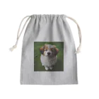 kotarou_92のウルウルがキュートな犬 Mini Drawstring Bag