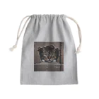 jaguar3の隙間からこんにちは猫 Mini Drawstring Bag